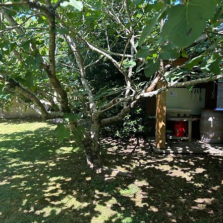 Jolie Maison Le Teich Bassin Park/Wifi Екстер'єр фото