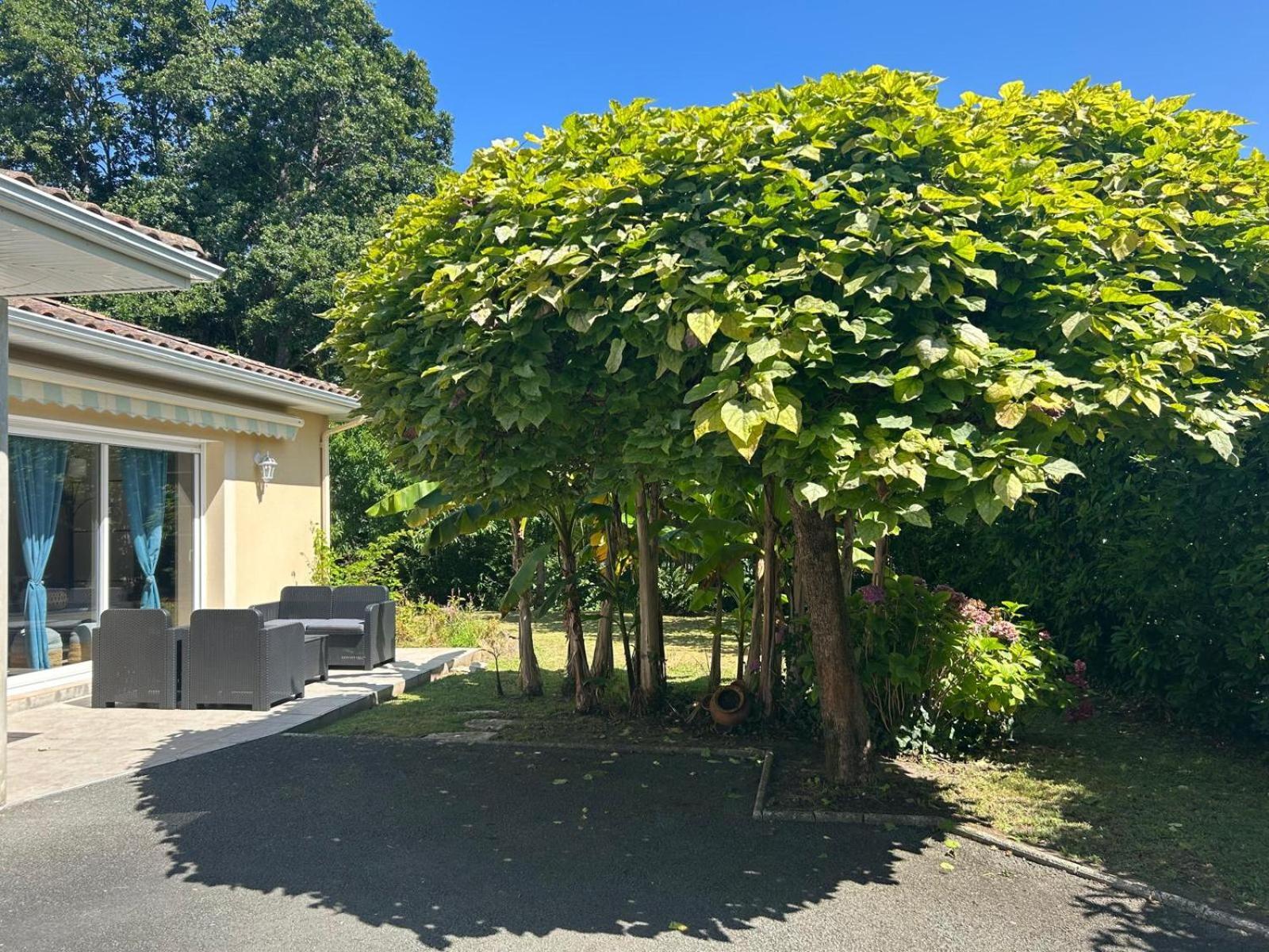 Jolie Maison Le Teich Bassin Park/Wifi Екстер'єр фото