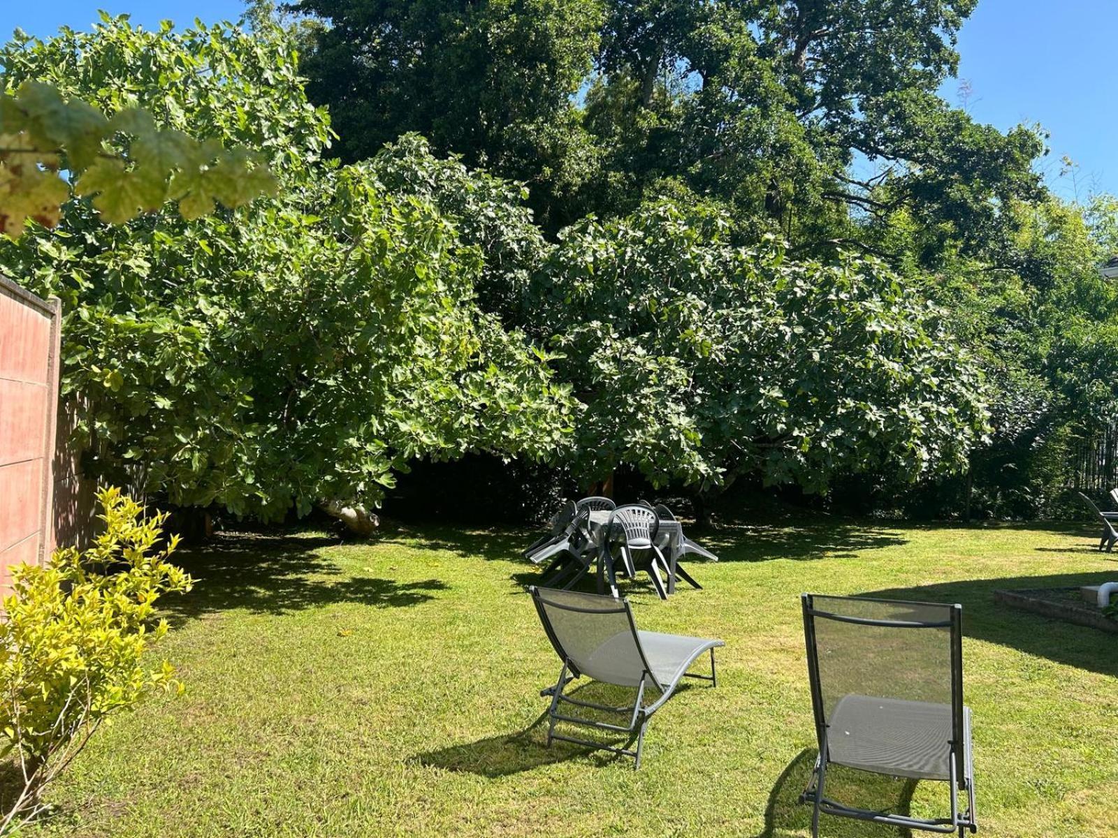 Jolie Maison Le Teich Bassin Park/Wifi Екстер'єр фото